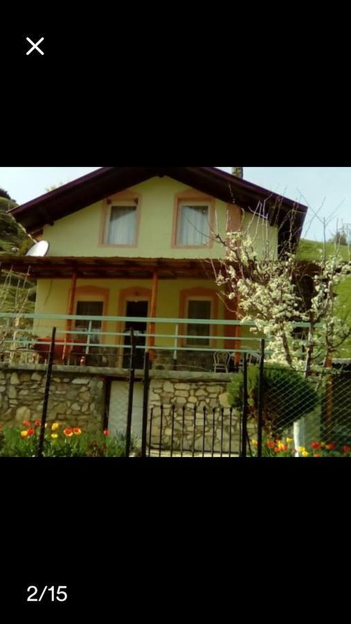 Villa Vrben ภายนอก รูปภาพ