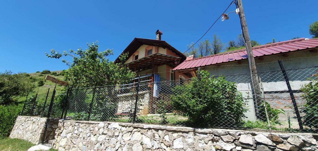Villa Vrben ภายนอก รูปภาพ