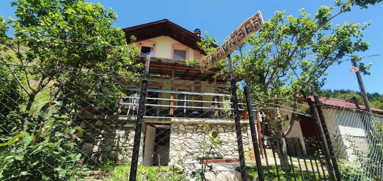 Villa Vrben ภายนอก รูปภาพ
