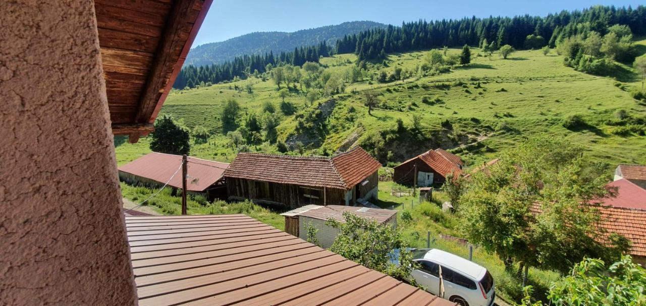Villa Vrben ภายนอก รูปภาพ